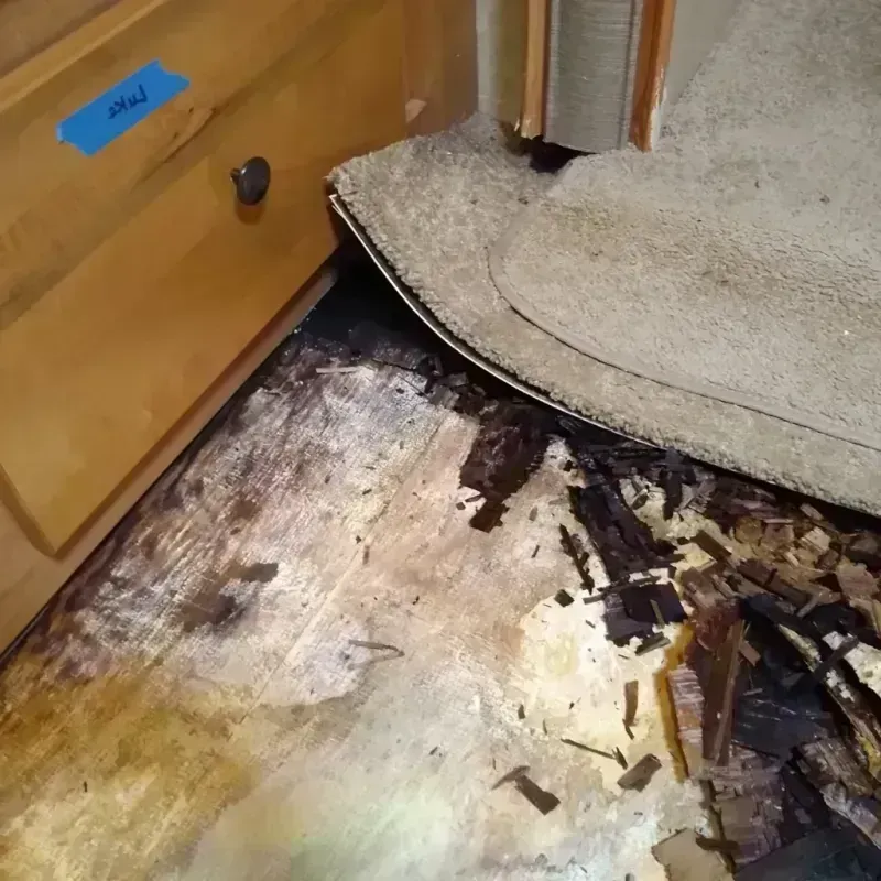 Best Wood Floor Water Damage Service in Cold Spring, MN